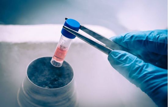Indústrias investem recursos milionários em medicamentos biológicos