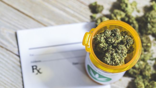 Cannabis sativa promete atrair investimentos bilionários