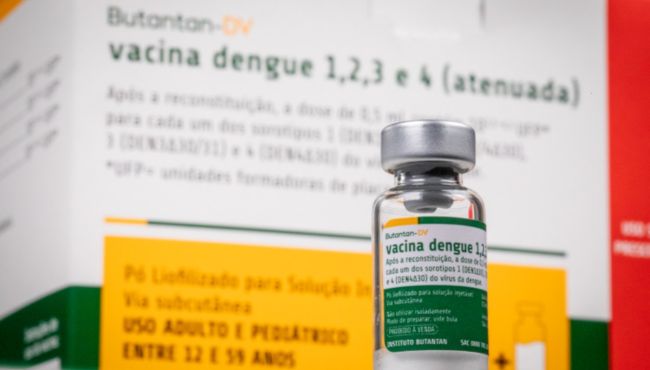 Professores do ICTQ explicam investigação sobre reações graves à vacina da dengue do Butantan