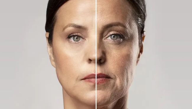 Resveratrol contra o envelhecimento: o que é fato e o que ainda é promessa