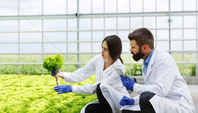 O que está prestes a acontecer com a farmácia viva no Brasil
