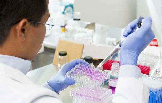 Venenos de vespa e escorpião podem ter substâncias que combatem à tuberculose