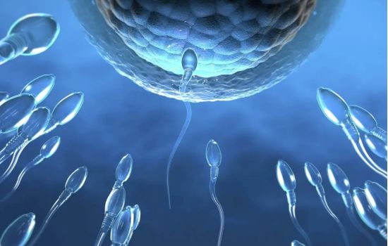 Anticoncepcional masculino avança e pode chegar ao mercado até 2028