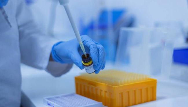Melatonina produzida no pulmão impede infecção da Covid-19