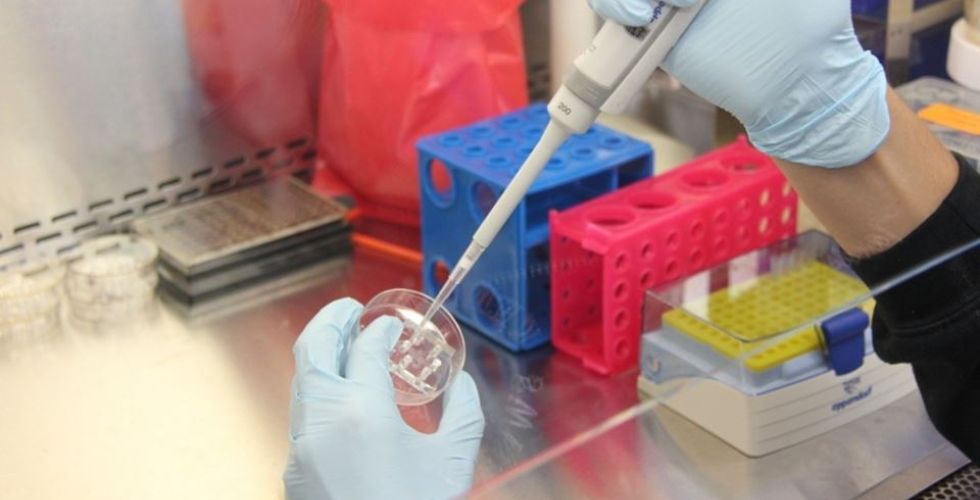 Vacina contra o coronavírus está em fase de testes finais