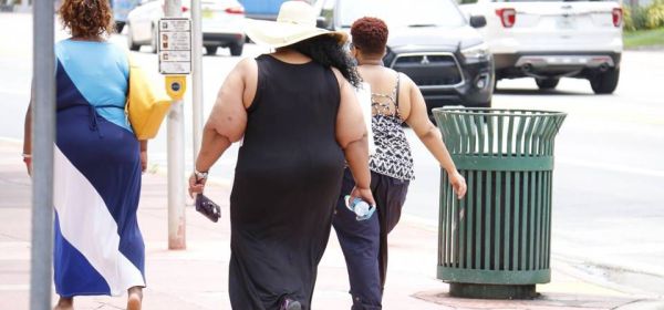 Pesquisadores da Unicamp estudam eficácia de antibiótico contra obesidade