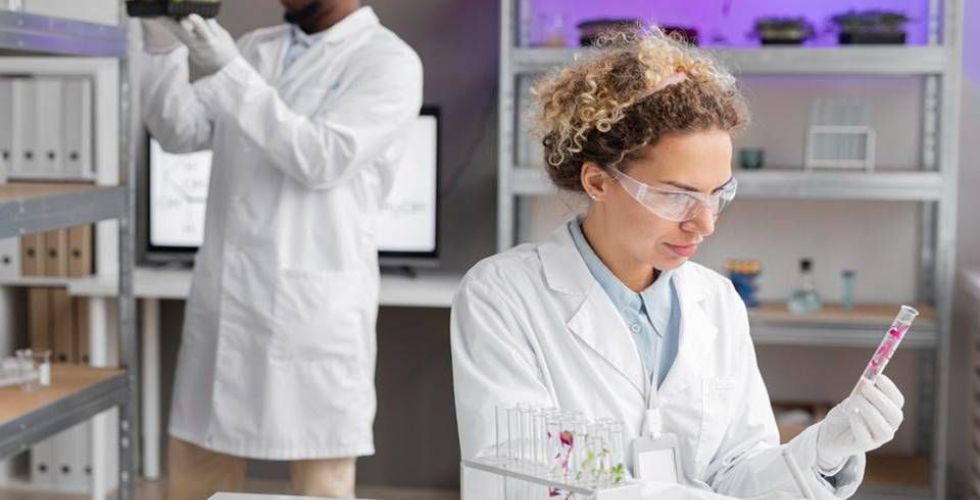 Cientistas criam tomate transgênico para mal de Parkinson