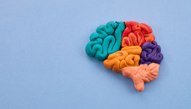 Estudo sugere que o autismo faz parte da evolução biológica humana