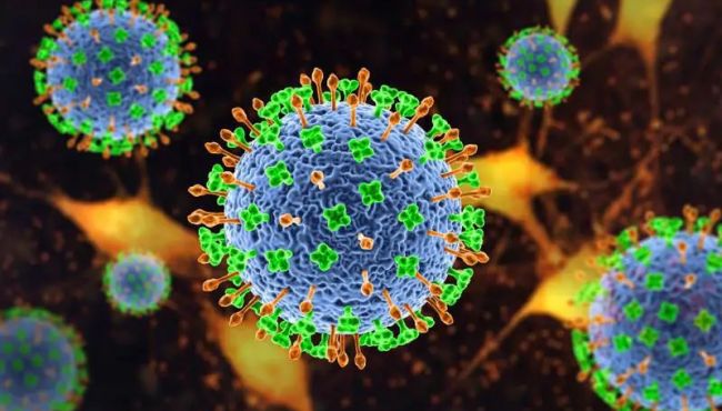 Vírus Nipah reacende alerta de vigilância e coloca o farmacêutico no centro da resposta clínica