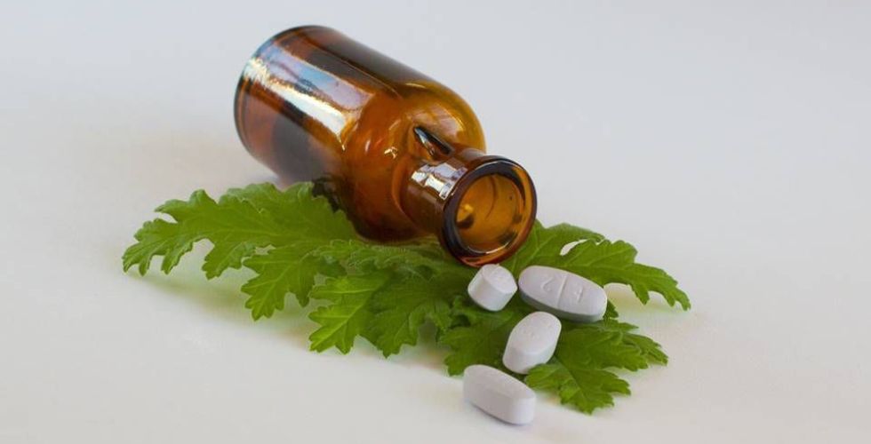 Startup brasileira compra cannabis da Colômbia para produção de medicamentos