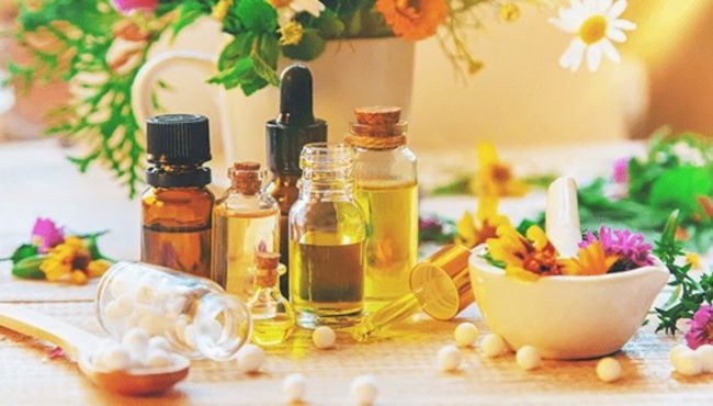 Anvisa aprova novo marco para medicamentos fitoterápicos no Brasil