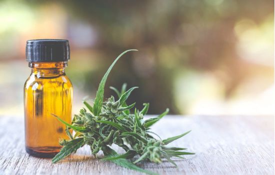 Medicamento à base de cannabis mostra eficácia contra epilepsia