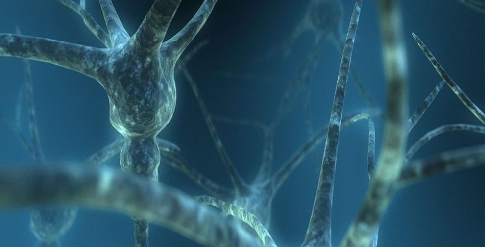 Proteína identifica qual célula do cérebro é mais vulnerável ao Alzheimer