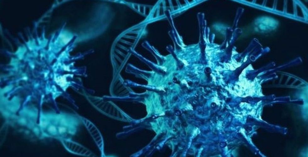 Covid-19: Anticorpos são menos eficazes contra nova variante em reinfecção
