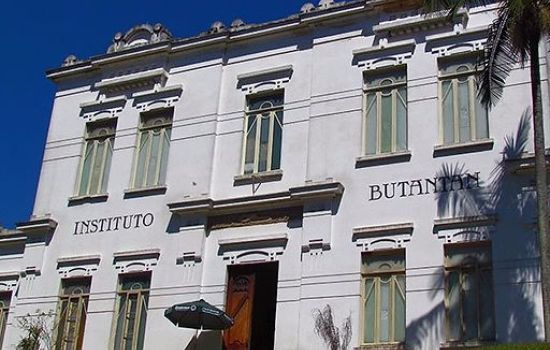 Butantan testa imunizante nacional contra gripe aviária em três estados brasileiros