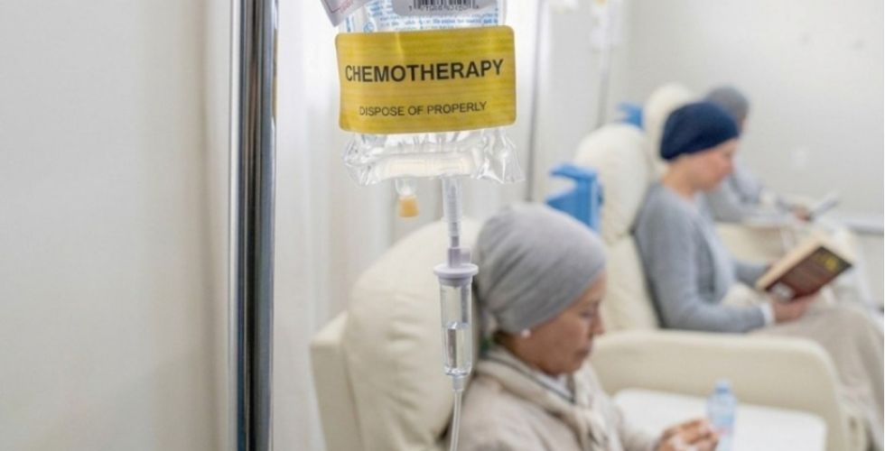 Pesquisadores brasileiros apontam estratégia que pode reverter resistência em leucemia mieloide aguda