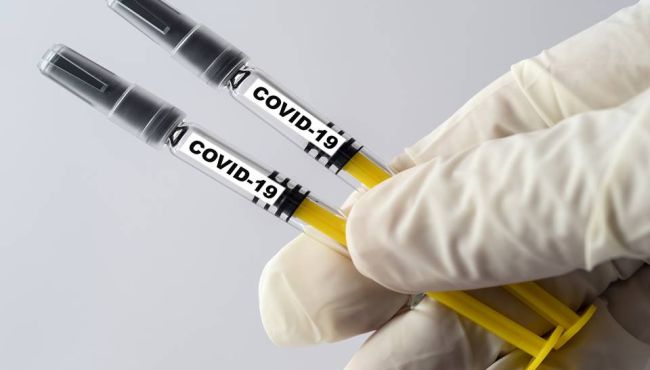 Covid-19 Anvisa explica como serão os testes da vacina no Brasil