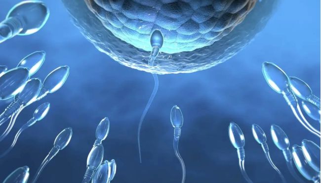 Anticoncepcional masculino avança e pode chegar ao mercado até 2028