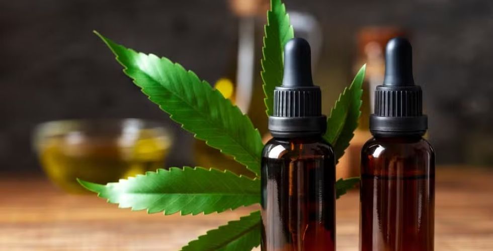 CBD e THC mostram resultado contra agitação em idosos com demência avançada