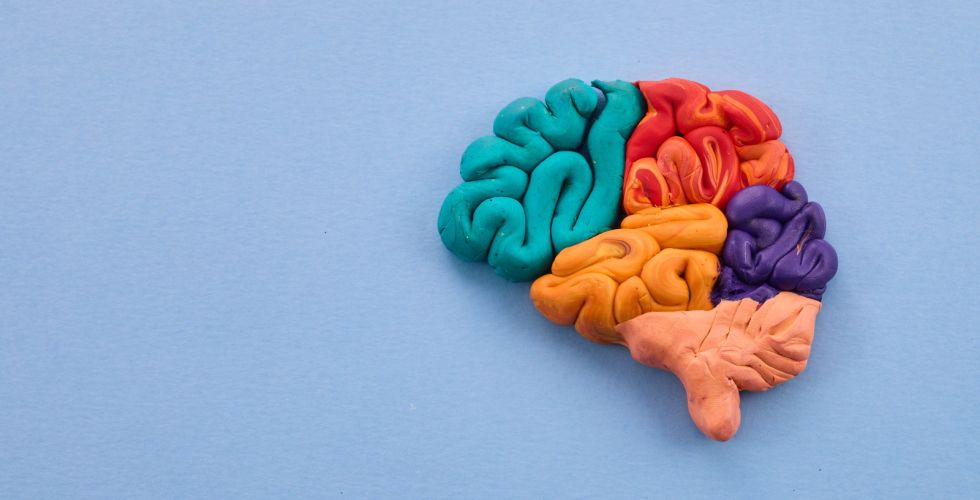 Estudo sugere que o autismo faz parte da evolução biológica humana