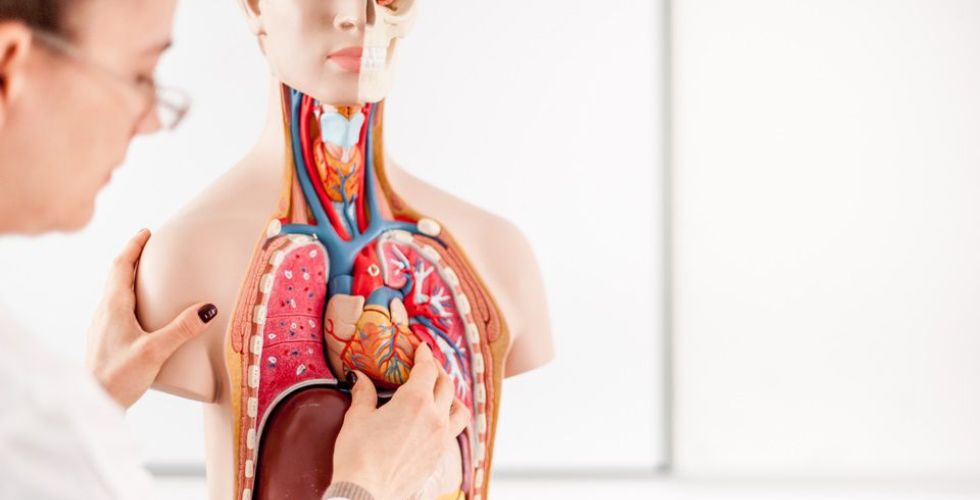 Farmacoterapia e Fisiopatologia do sistema cardiovascular