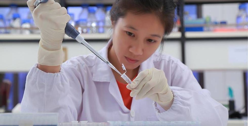Laboratório quer transformar medicamentos injetáveis em pílulas