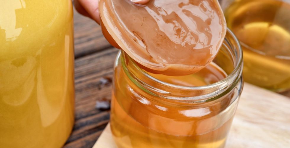 Celulose de kombucha se destaca como biomaterial para curativos de feridas