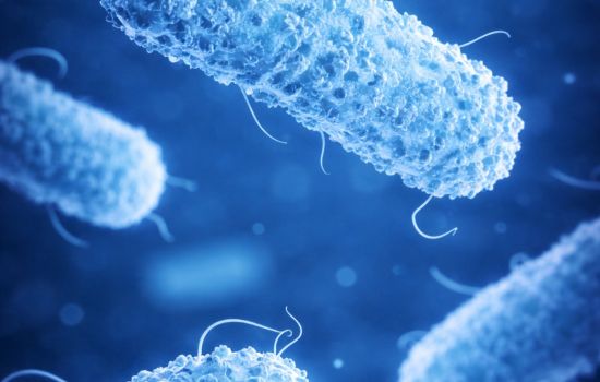 Hidrogel brasileiro mostra ação contra superbactérias e aponta novos caminhos para controle de infecções hospitalares