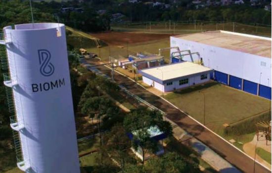 Empresa farmacêutica está em busca de novo sócio