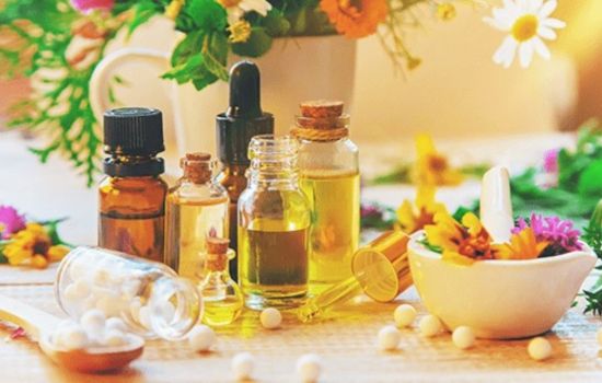 Anvisa aprova novo marco para medicamentos fitoterápicos no Brasil