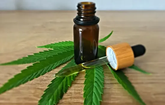 Anvisa propõe regras para cultivo e produção de cannabis medicinal no país