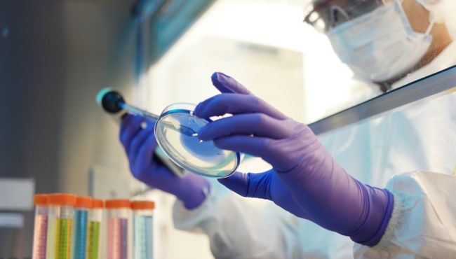 Validação de métodos analíticos microbiológicos