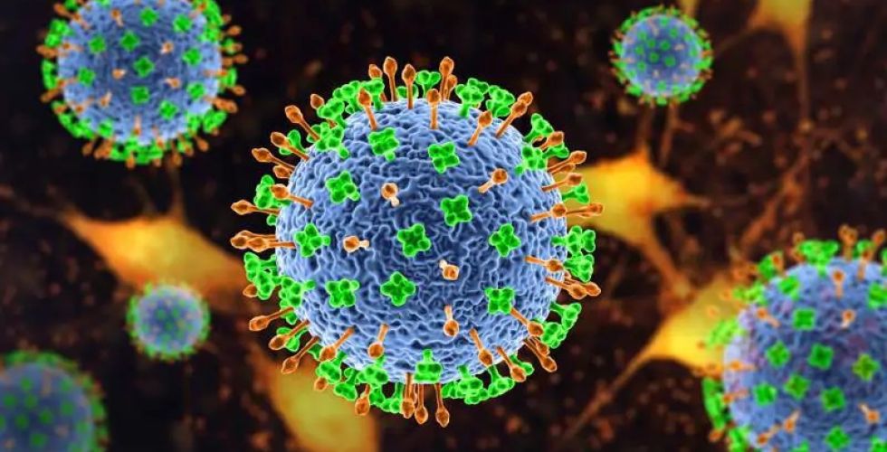 Vírus Nipah reacende alerta de vigilância e coloca o farmacêutico no centro da resposta clínica