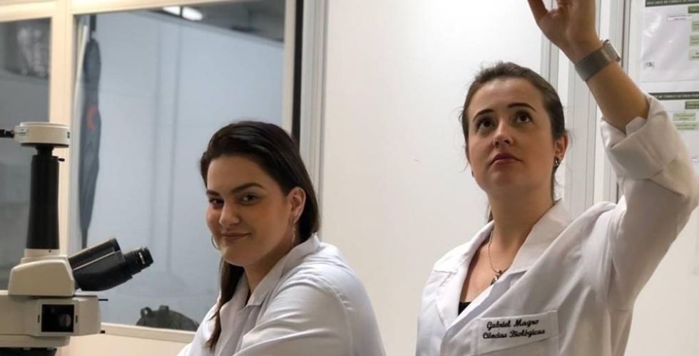 Farmacêutica descobre efeitos do zika vírus no cérebro de adultos