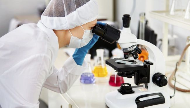 Inédito: cientistas descobrem existência de plástico em órgãos humanos