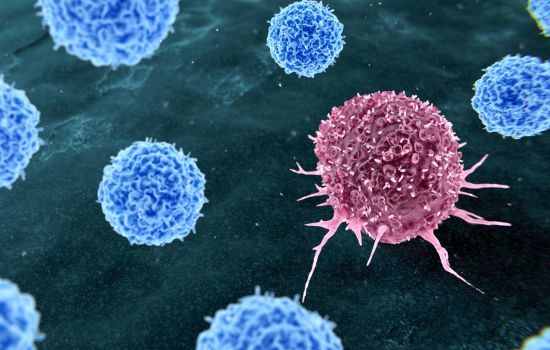 Método usado para purificar sangue será testado com vacina antitumor