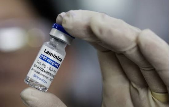 Polilaminina avança com estudo publicado, mas ainda exige novos ensaios clínicos