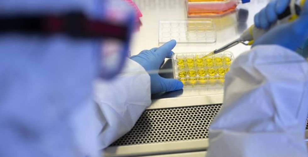 Covid-19: Anvisa autoriza estudos clínicos com remdesivir e ruxolitinibe