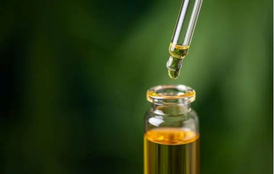 Teuto aliado a grupo do Canadá inicia venda de cannabis medicinal no Brasil
