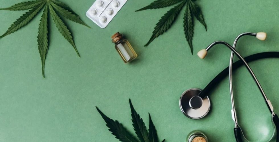 Compostos da cannabis podem ajudar na reversão da esteatose hepática