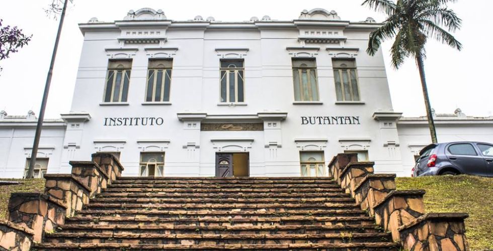 Covid-19: Instituto Butantan poderá ter vacina até o final de 2020
