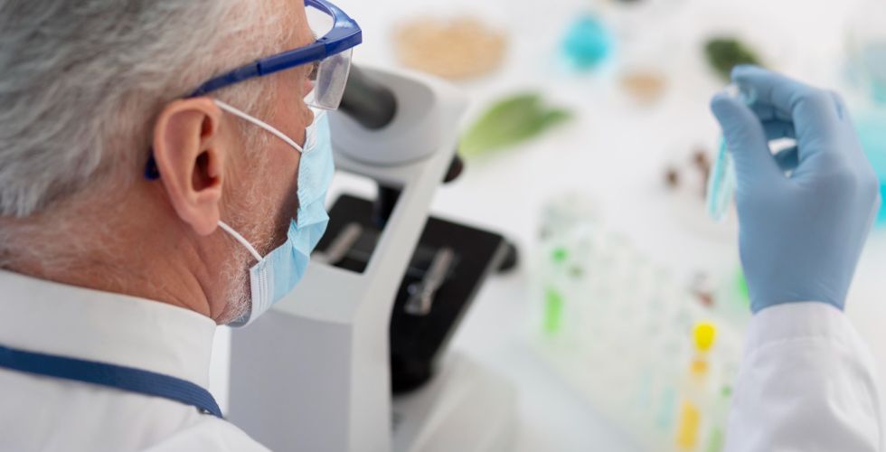 USP identifica proteínas que podem turbinar terapia celular contra câncer no sangue