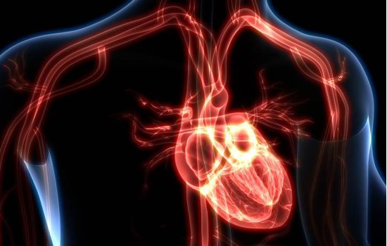 Como o Losartana pode prevenir o infarto e AVC