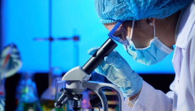 ‘Vírus virtual’ para estudar coronavírus