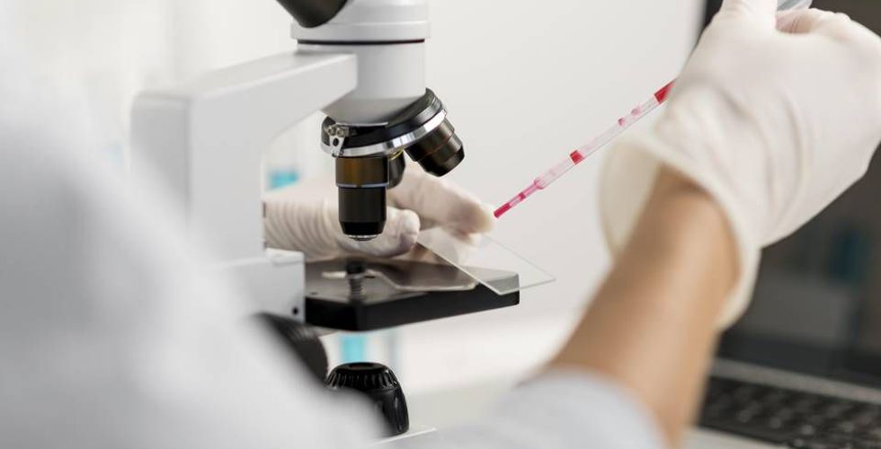 Bactérias do intestino produzem compostos que podem inibir o coronavírus