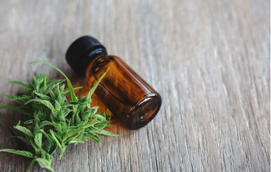 INPI anula patente de medicamento à base de canabidiol
