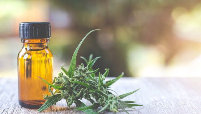 Medicamento à base de cannabis mostra eficácia contra epilepsia