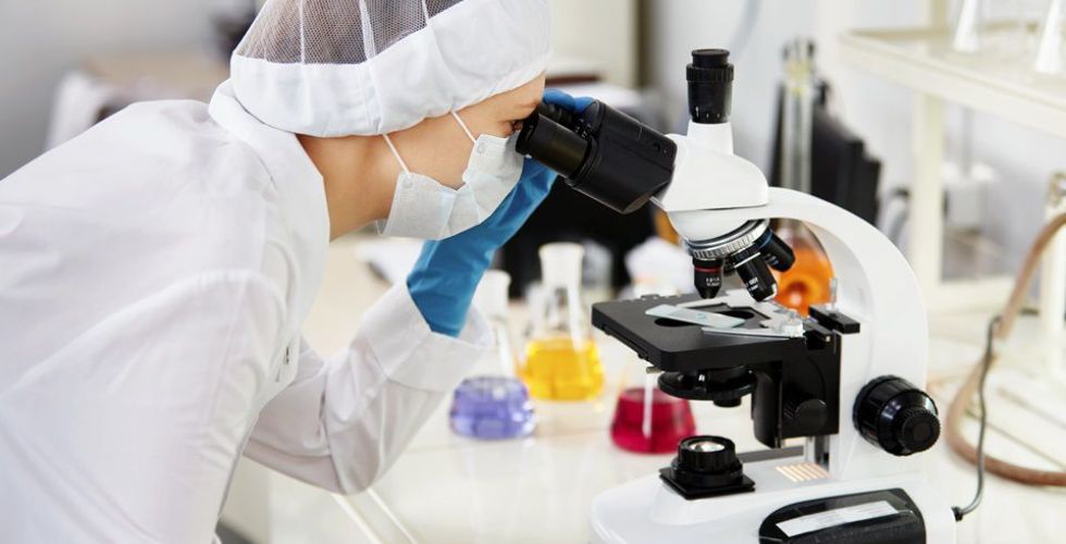 Inédito: cientistas descobrem existência de plástico em órgãos humanos
