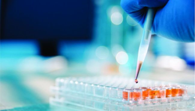 Mercado farmacêutico carece de inovação tecnológica na produção