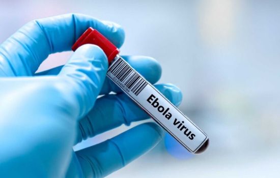 Vacina de Oxford contra Ebola Bundibugyo pode avançar para testes em humanos